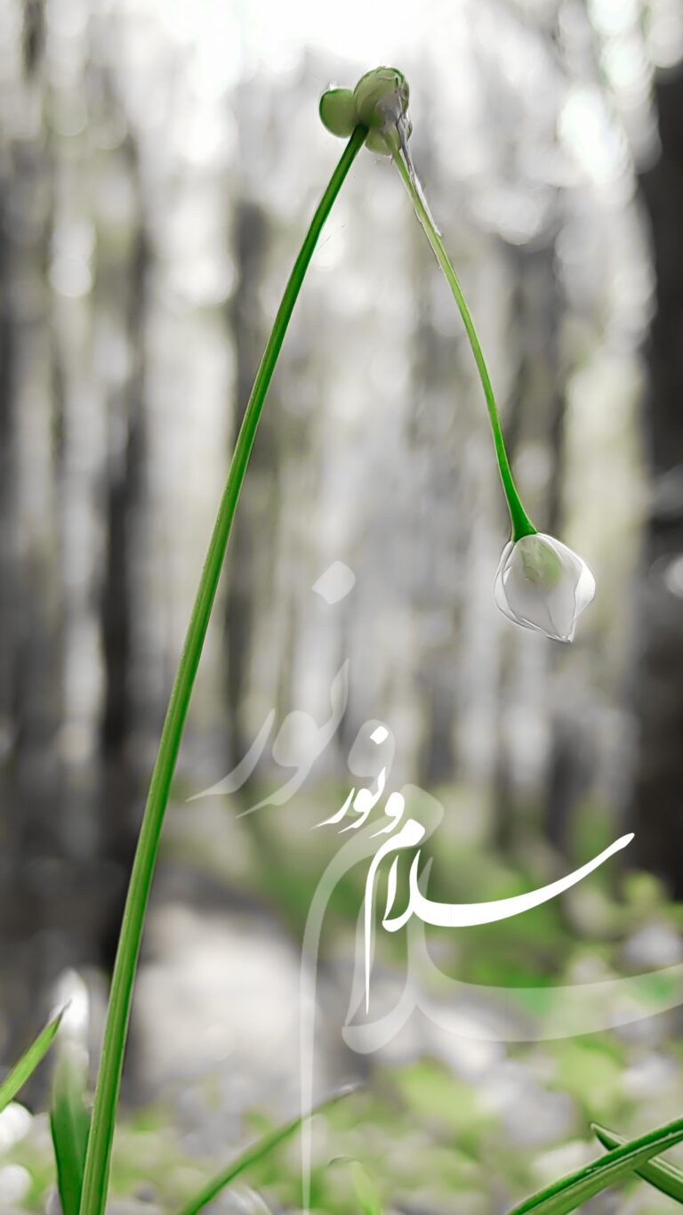 والپیپر_بسم_الله