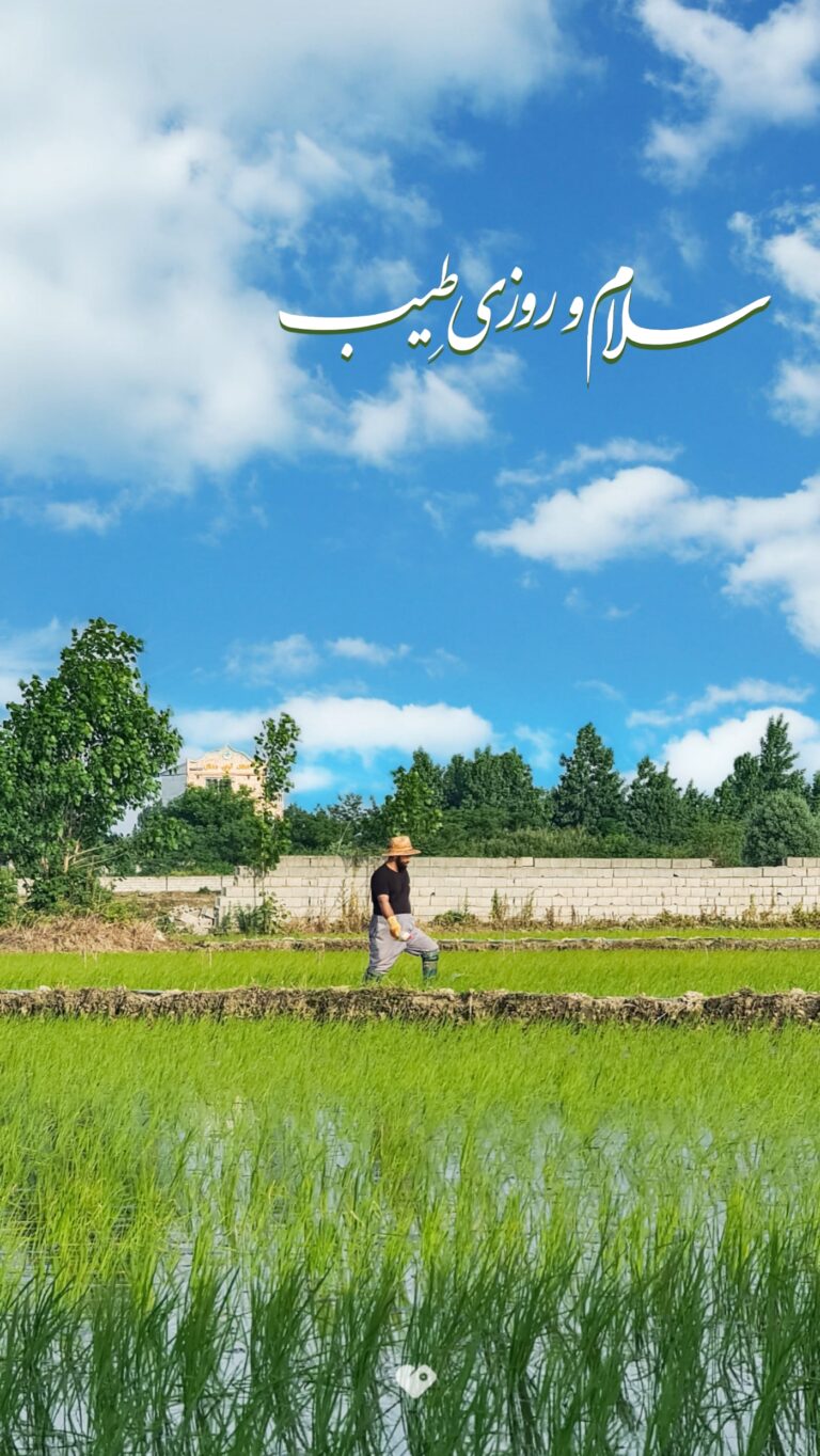 والپیپر_بسم_الله