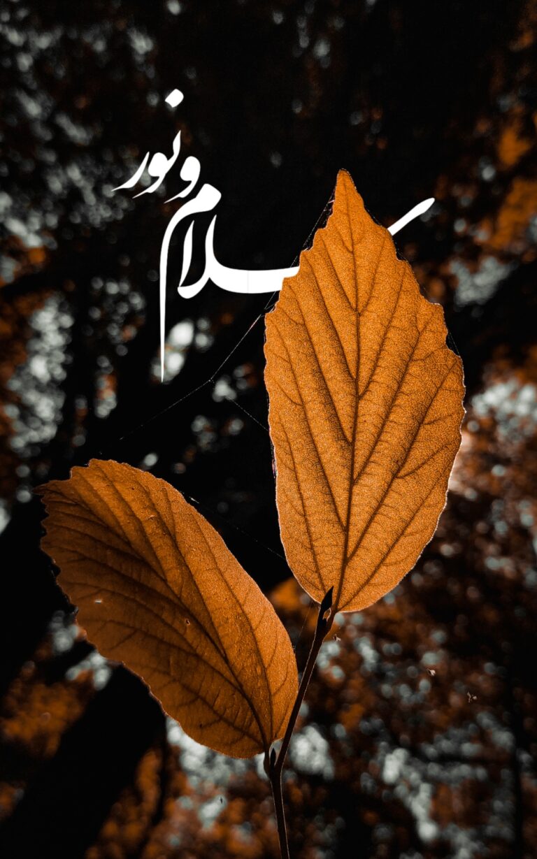 والپیپر_بسم_الله