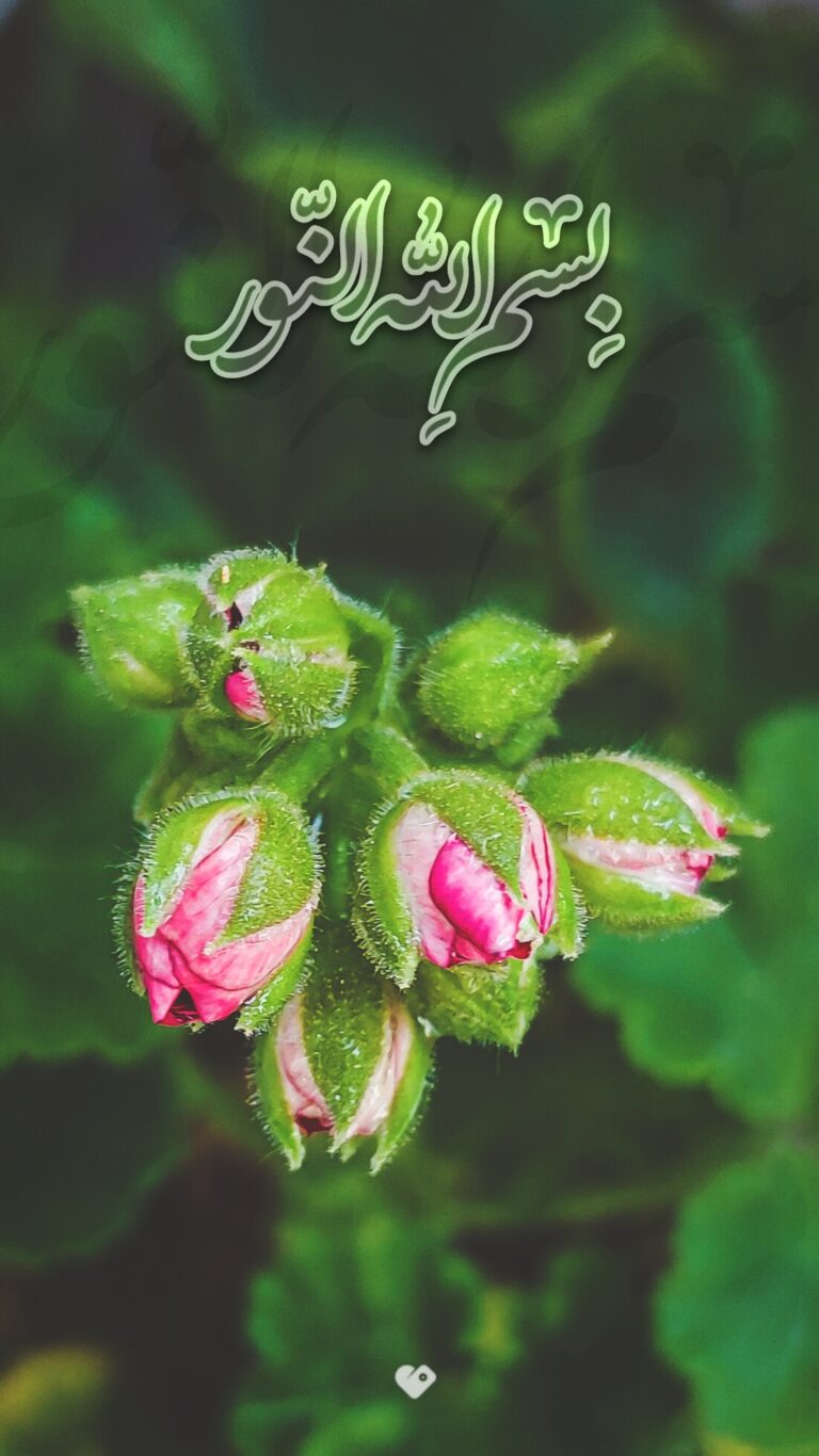 والپیپر_بسم_الله