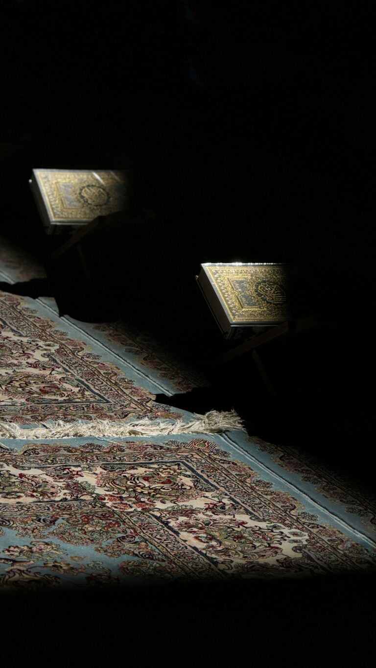 امام_رضا