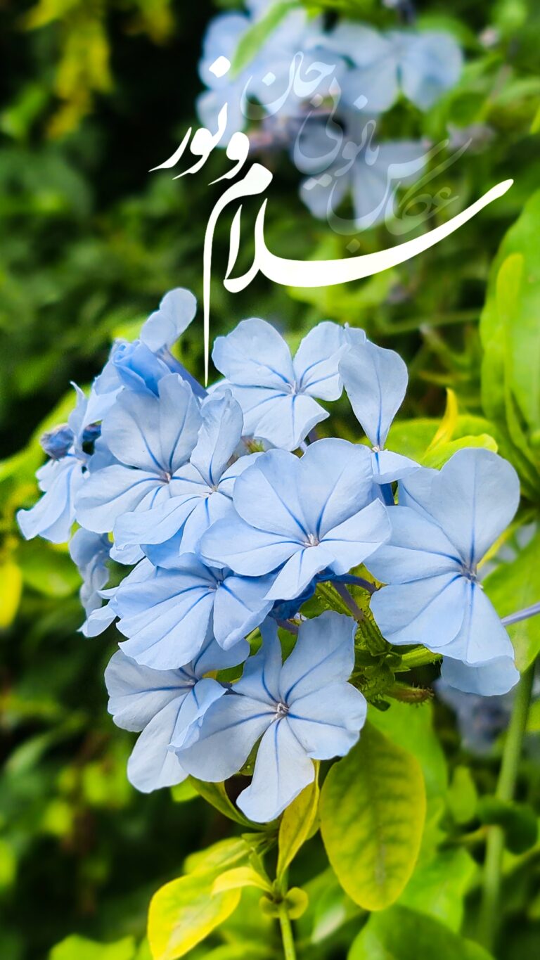 والپیپر_بسم_الله