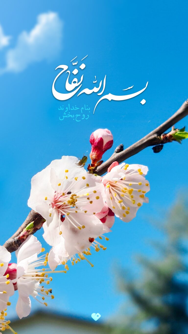 والپیپر_بسم_الله