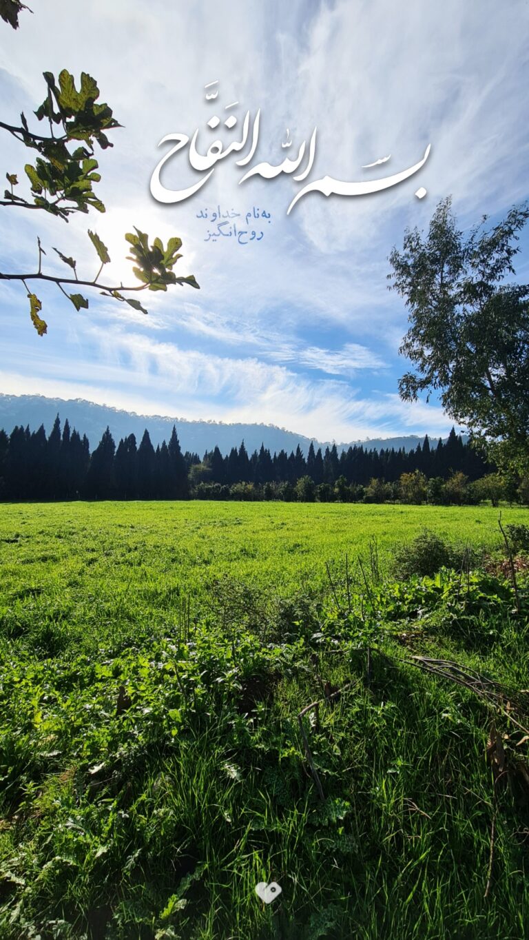 والپیپر_بسم_الله