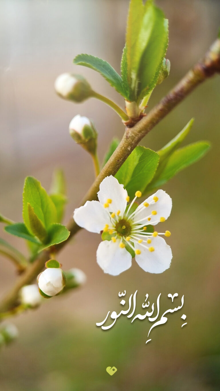 والپیپر_بسم_الله