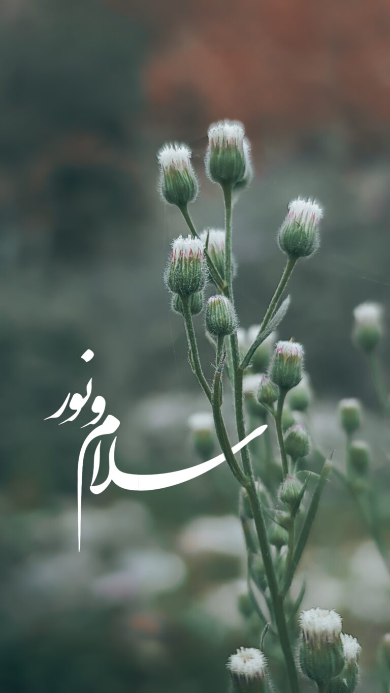 والپیپر_بسم_الله