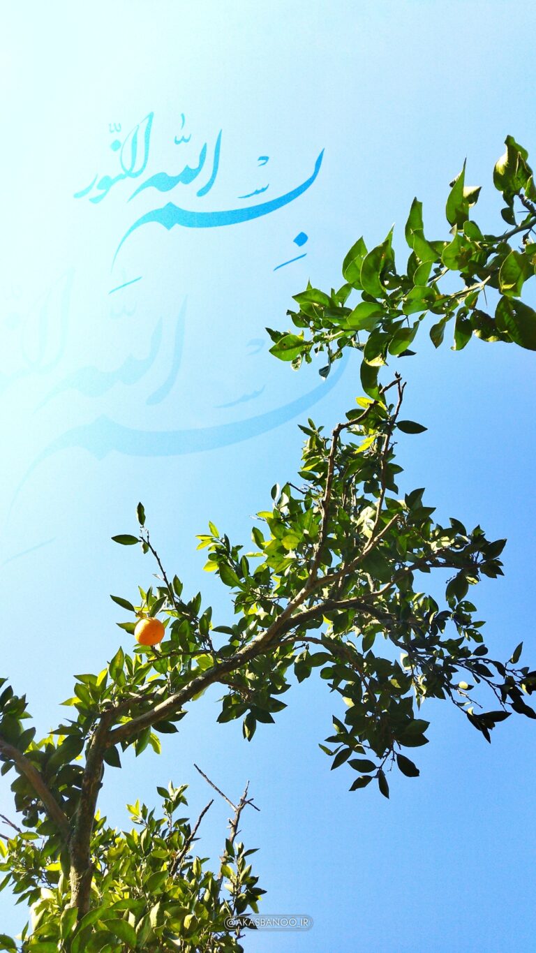 والپیپر_بسم_الله