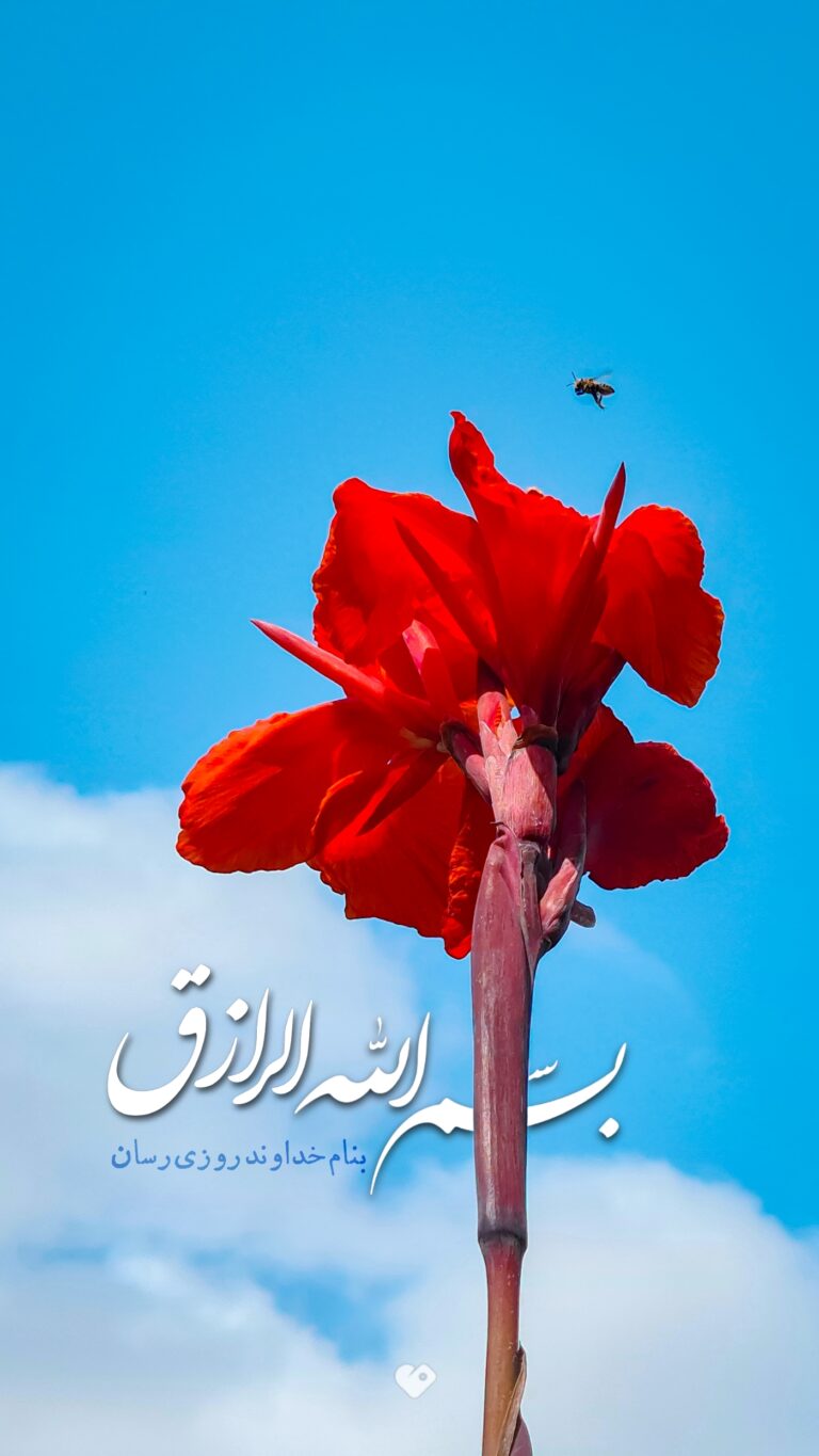 والپیپر_بسم_الله