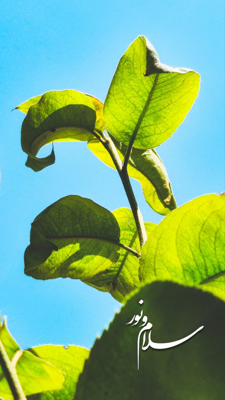 والپیپر_بسم_الله