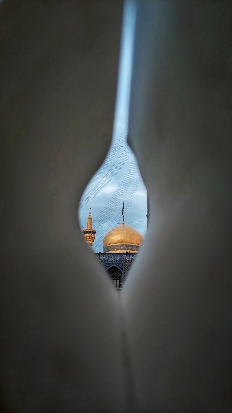 امام_رضا