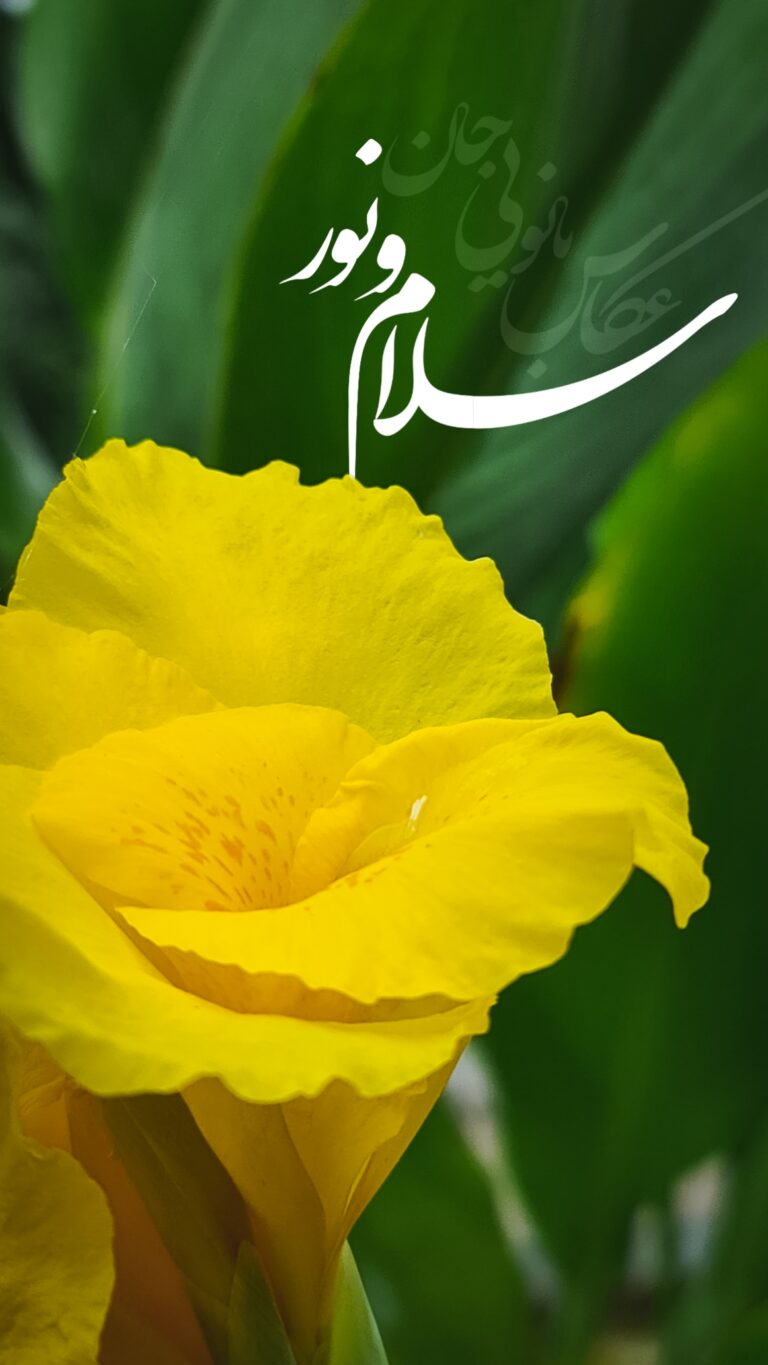 والپیپر_بسم_الله