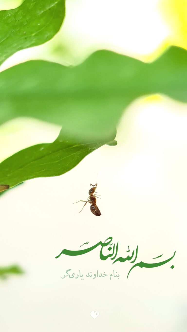 والپیپر_بسم_الله