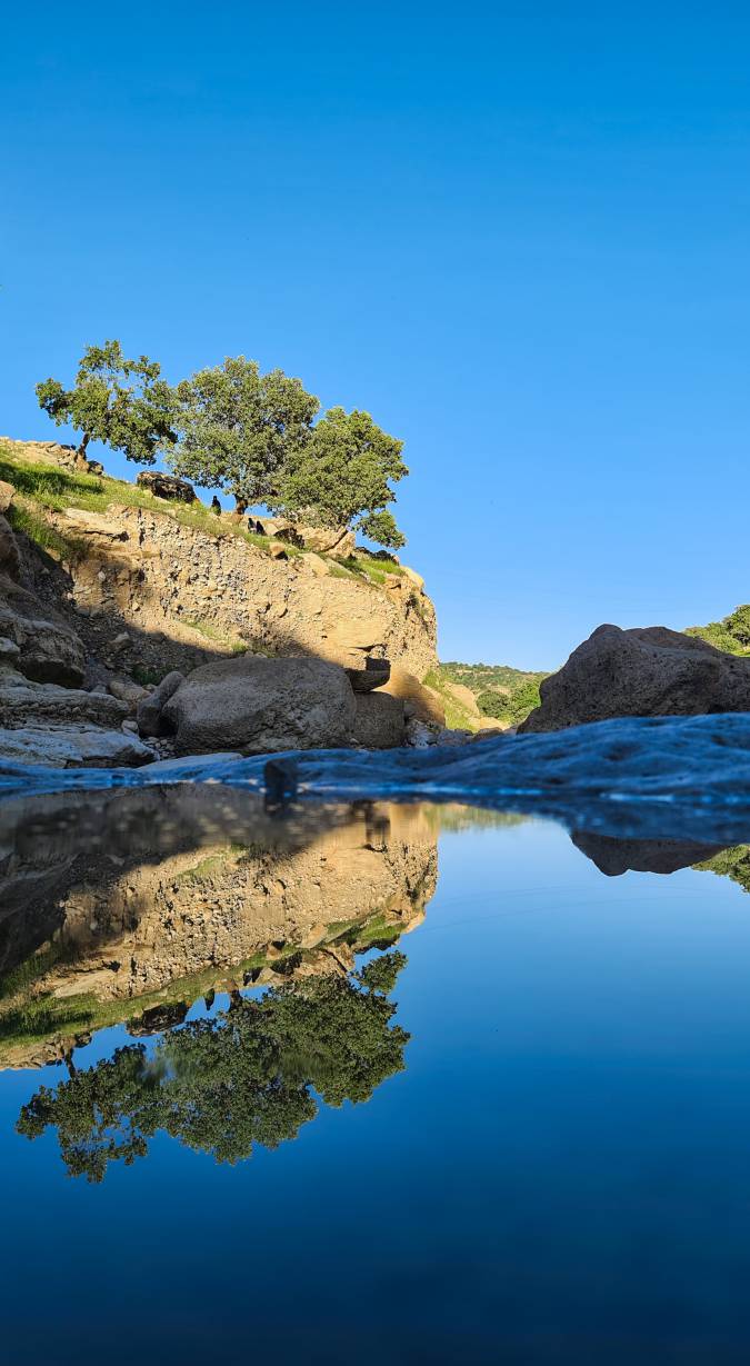 ایلام