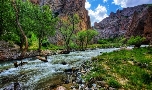 ایلام