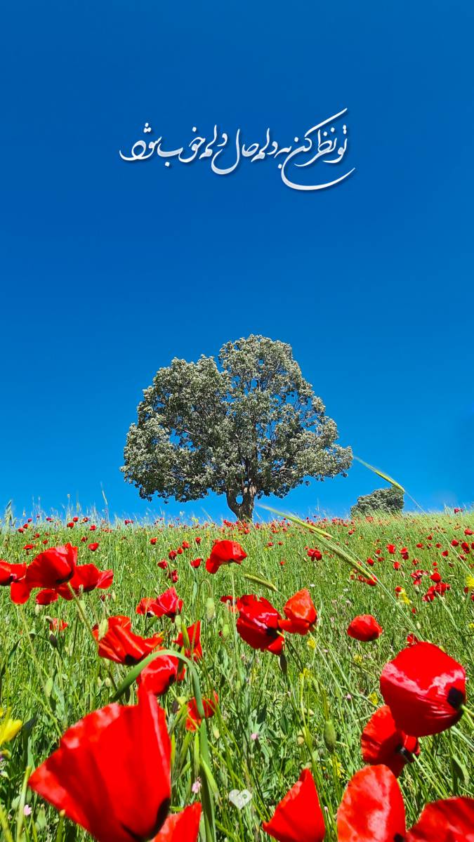 ایلام