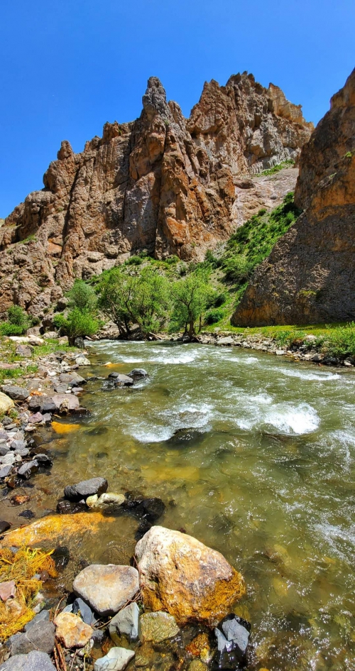 ایلام