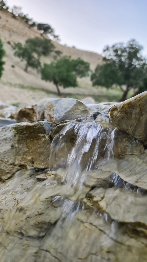 ایلام
